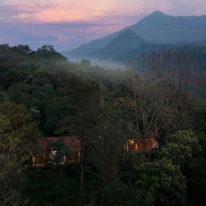 Vythiri Mist Resort
